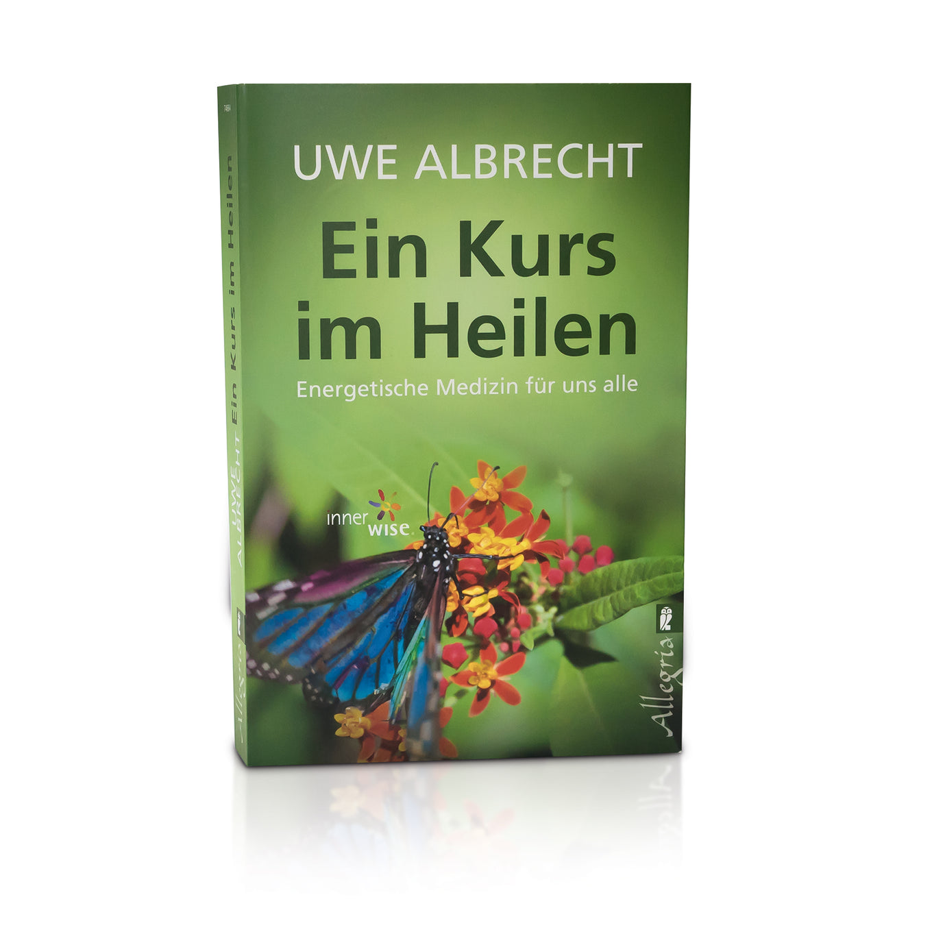 Ein Kurs im Heilen (Buch)