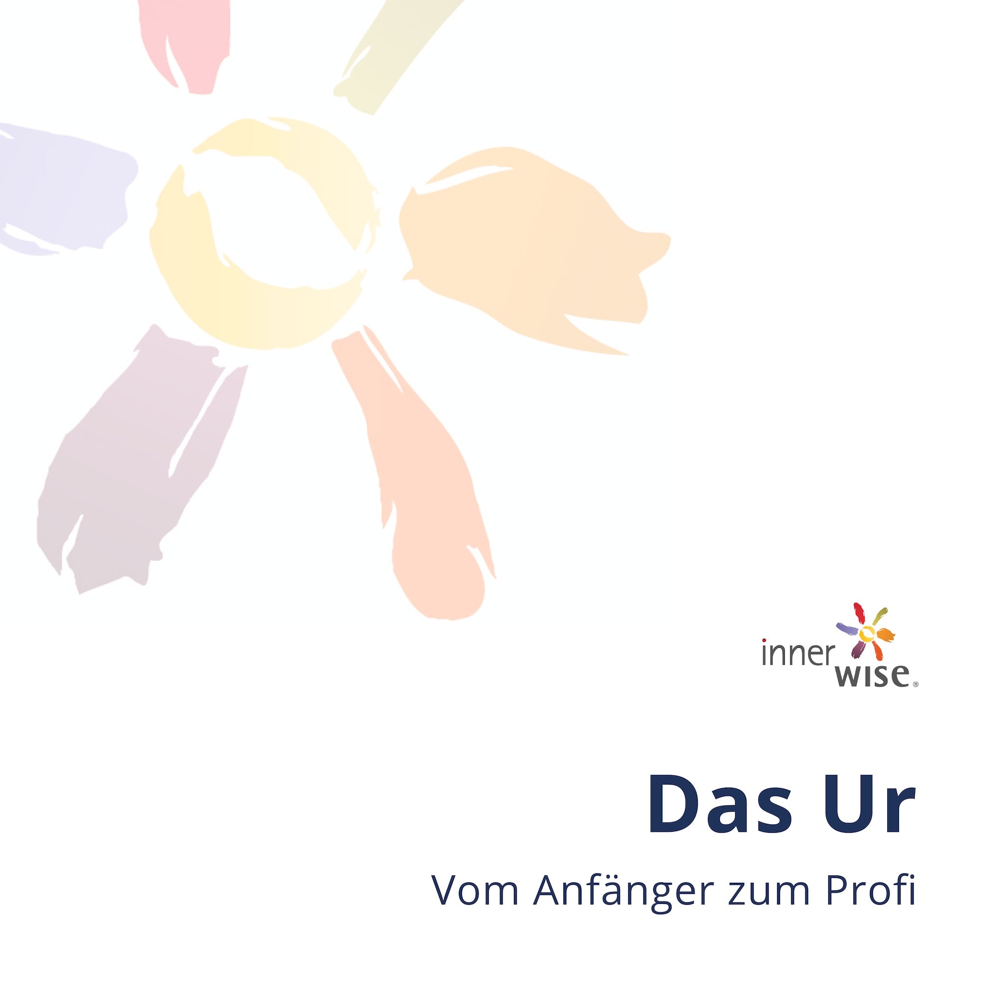 Ur - Schritt für Schritt vom Anfänger zum Profi