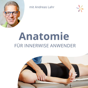 Topographische Anatomie für innerwise Anwender & Coaches
