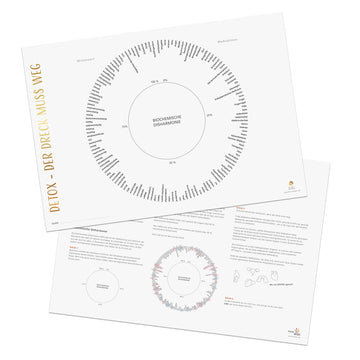 Detox (Arbeitsblatt)