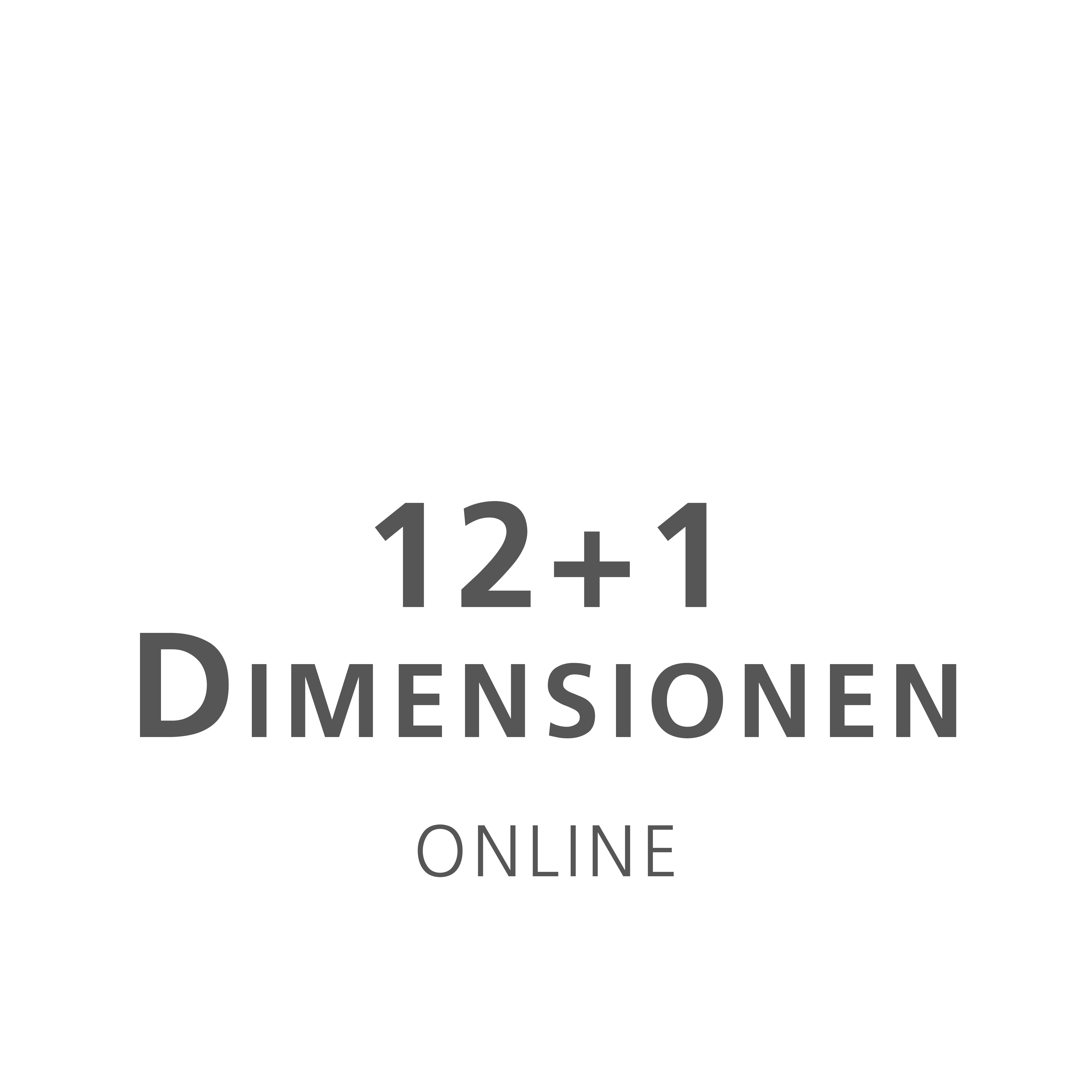 12+1 Dimensionen