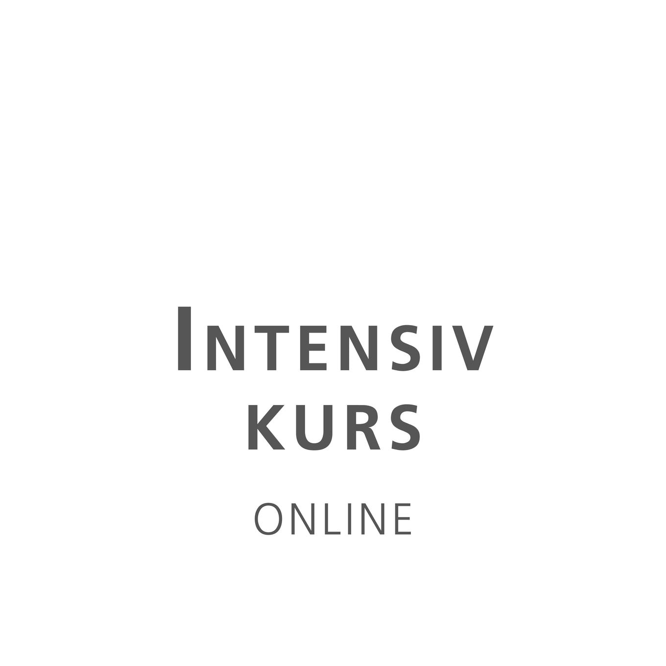 Intensivkurs online