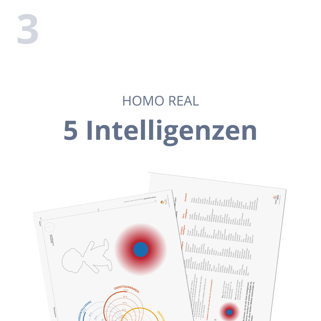 5 Intelligenzen
