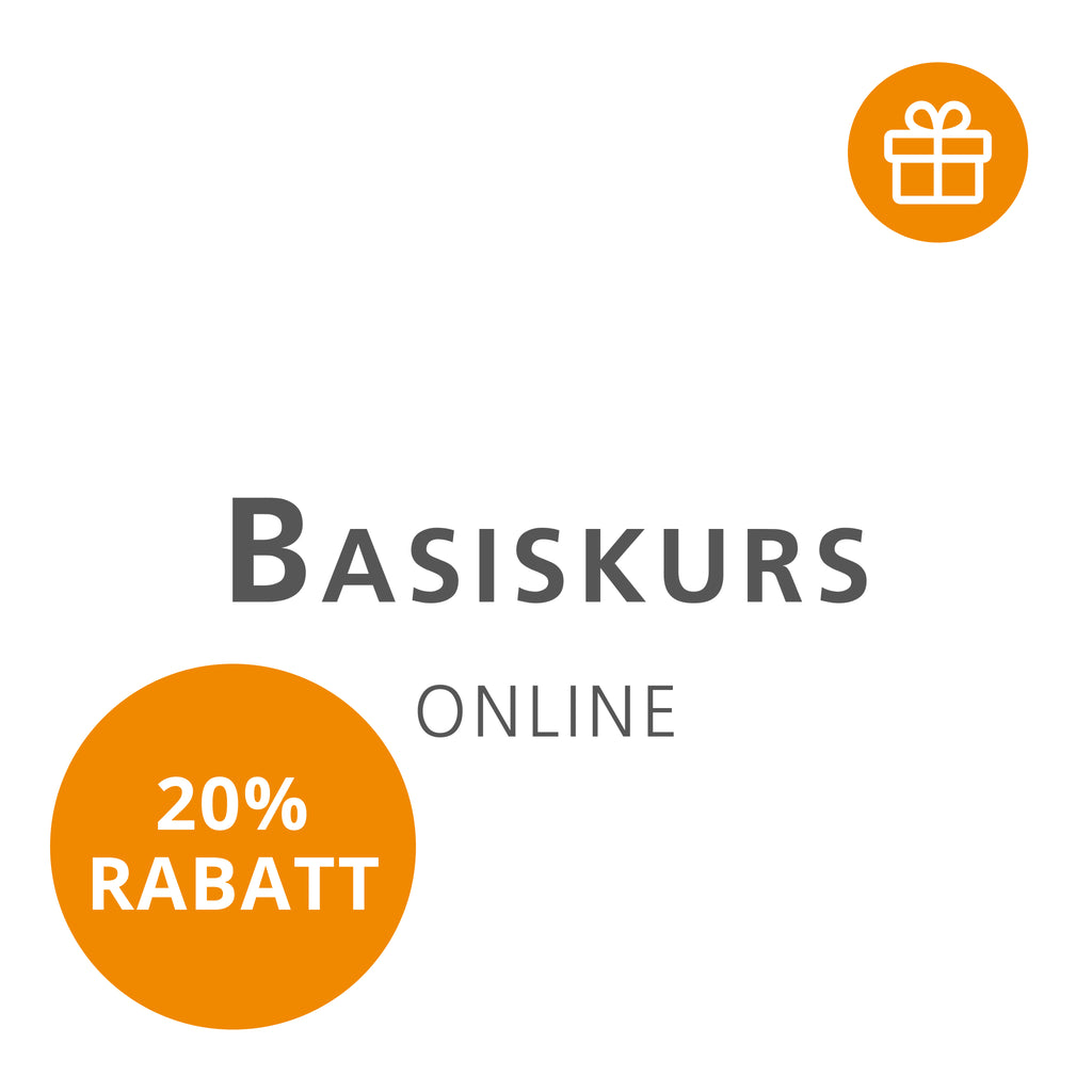 Basiskurs online