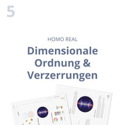 Dimensionale Ordnung & Verzerrungen