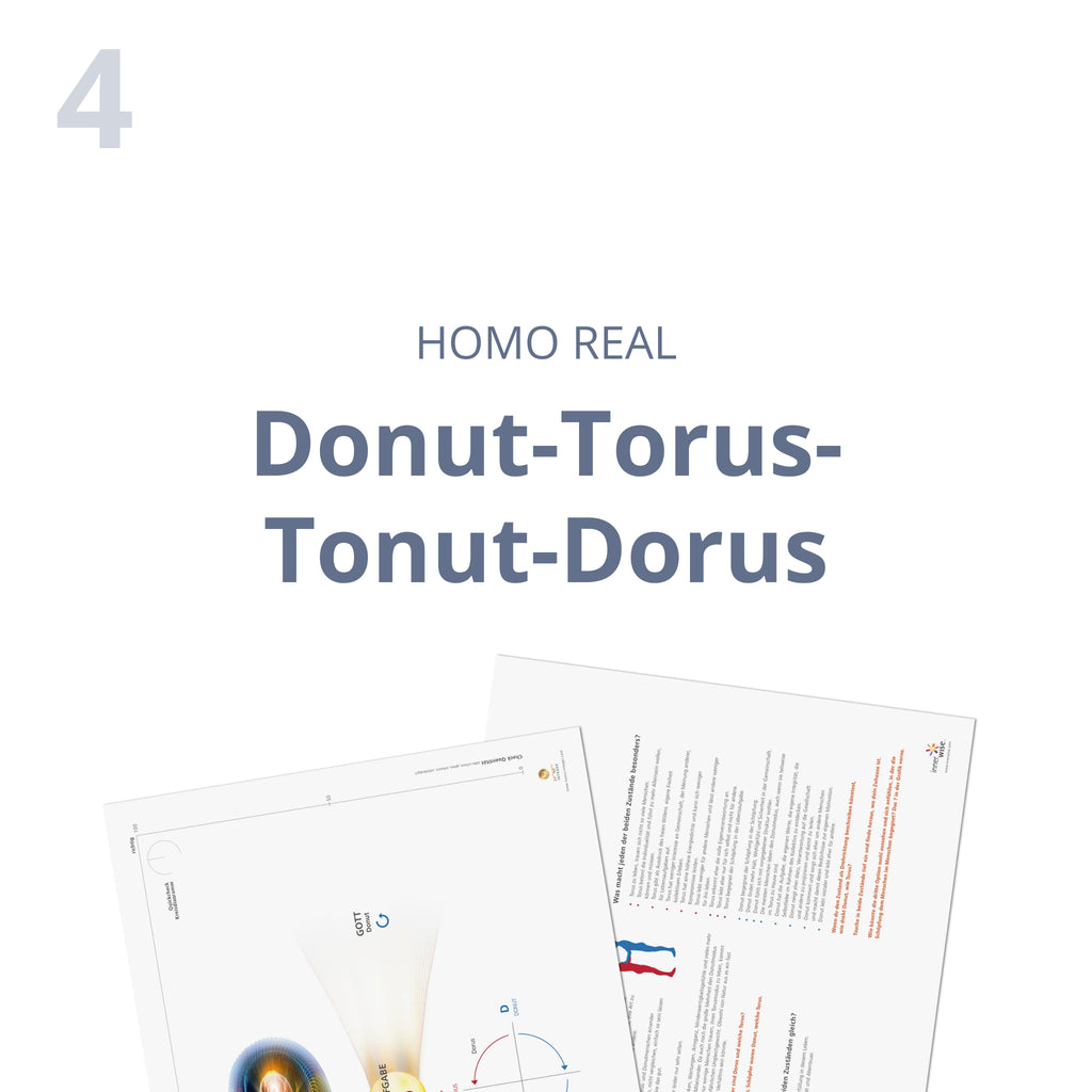 Donut-Torus-Tonut-Dorus