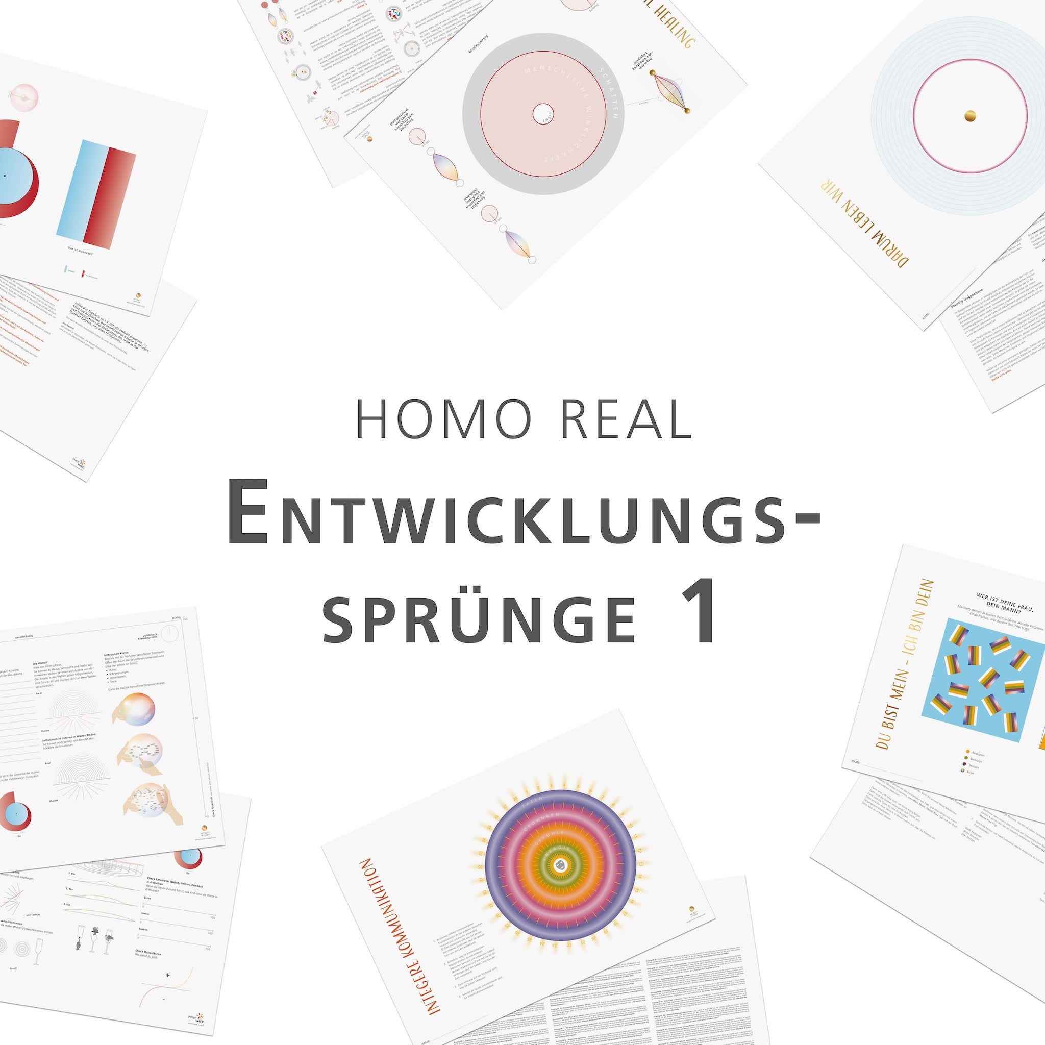 Entwicklungssprünge - Paket 1 (Homo real)