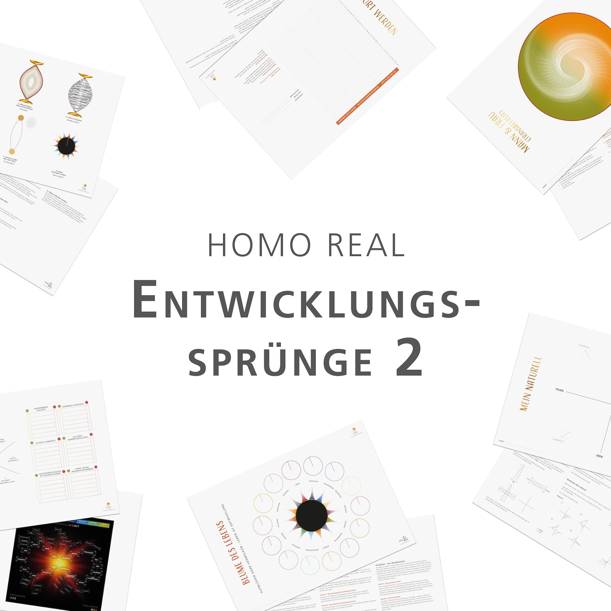 Entwicklungssprünge - Paket 2 (Homo real)