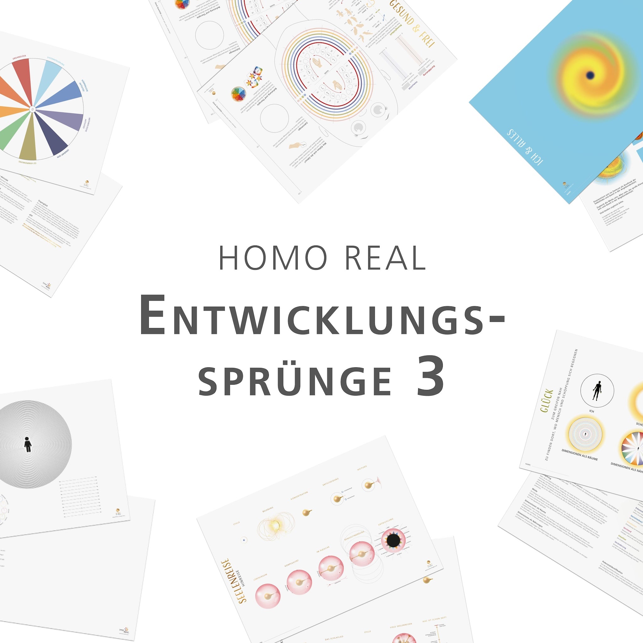 Entwicklungssprünge - Paket 3 (Homo real)