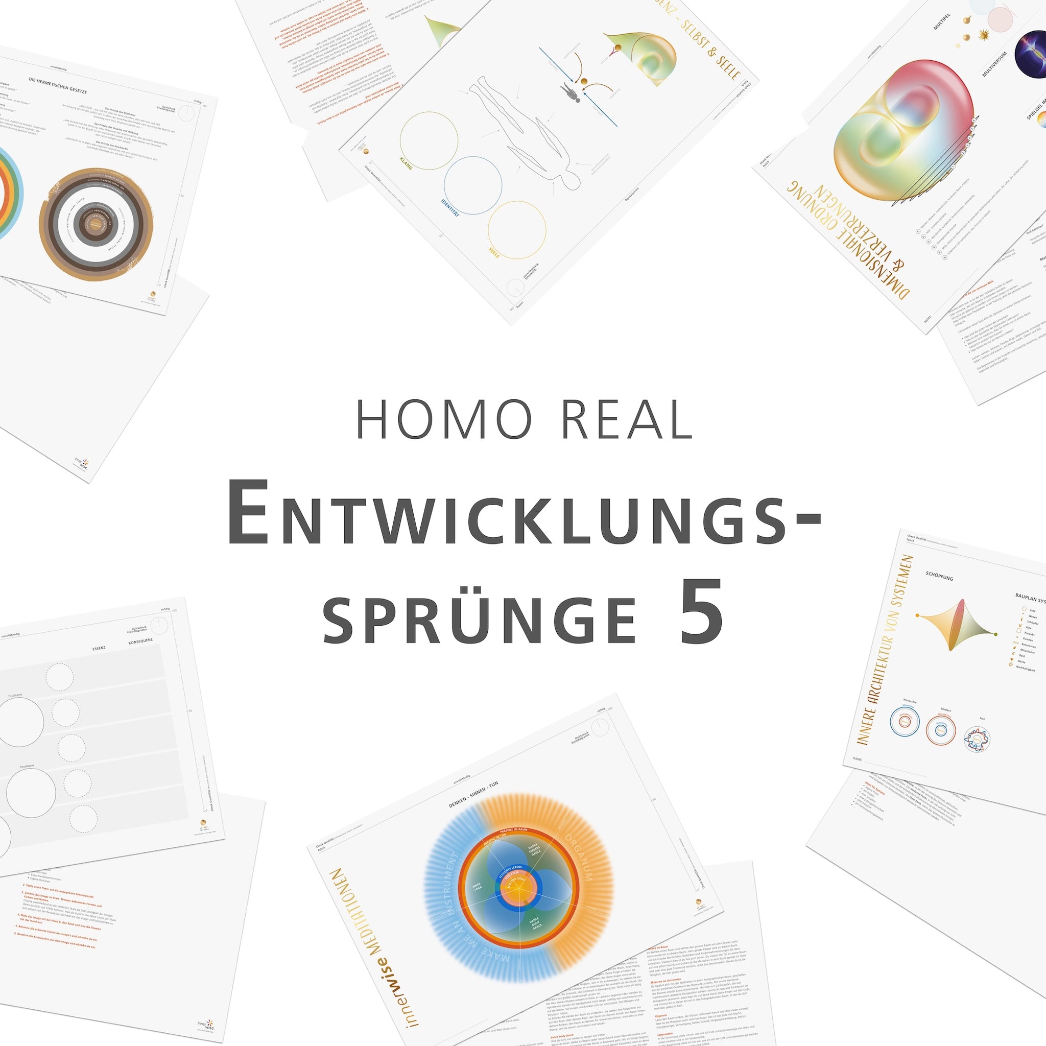 Entwicklungssprünge - Paket 5 (Homo real)