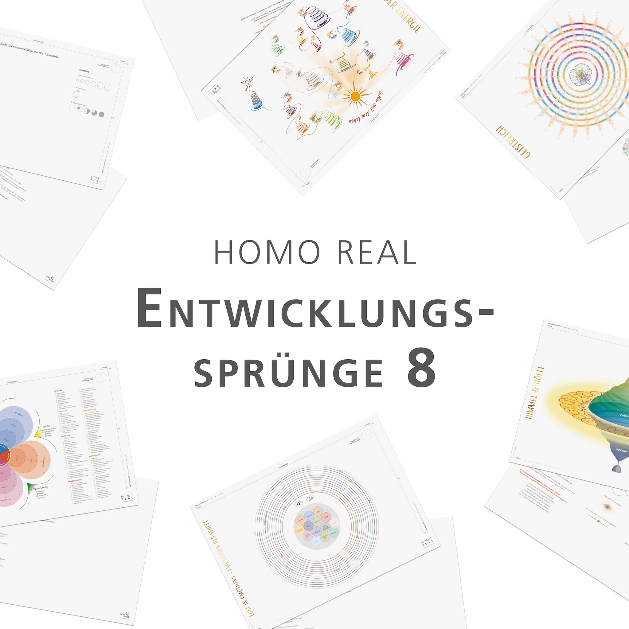 Entwicklungssprünge - Paket 8 (Homo real)
