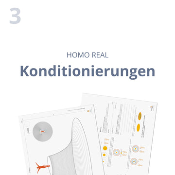 Konditionierungen