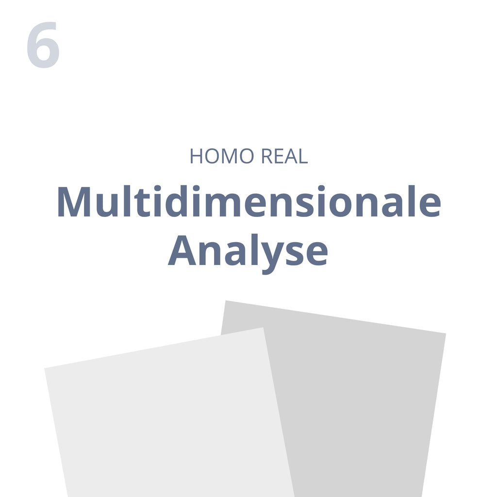 Multidimensionale Analyse – das Feld lesen