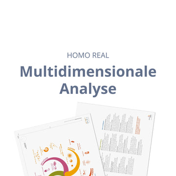 Multidimensionale Analyse – das Feld lesen