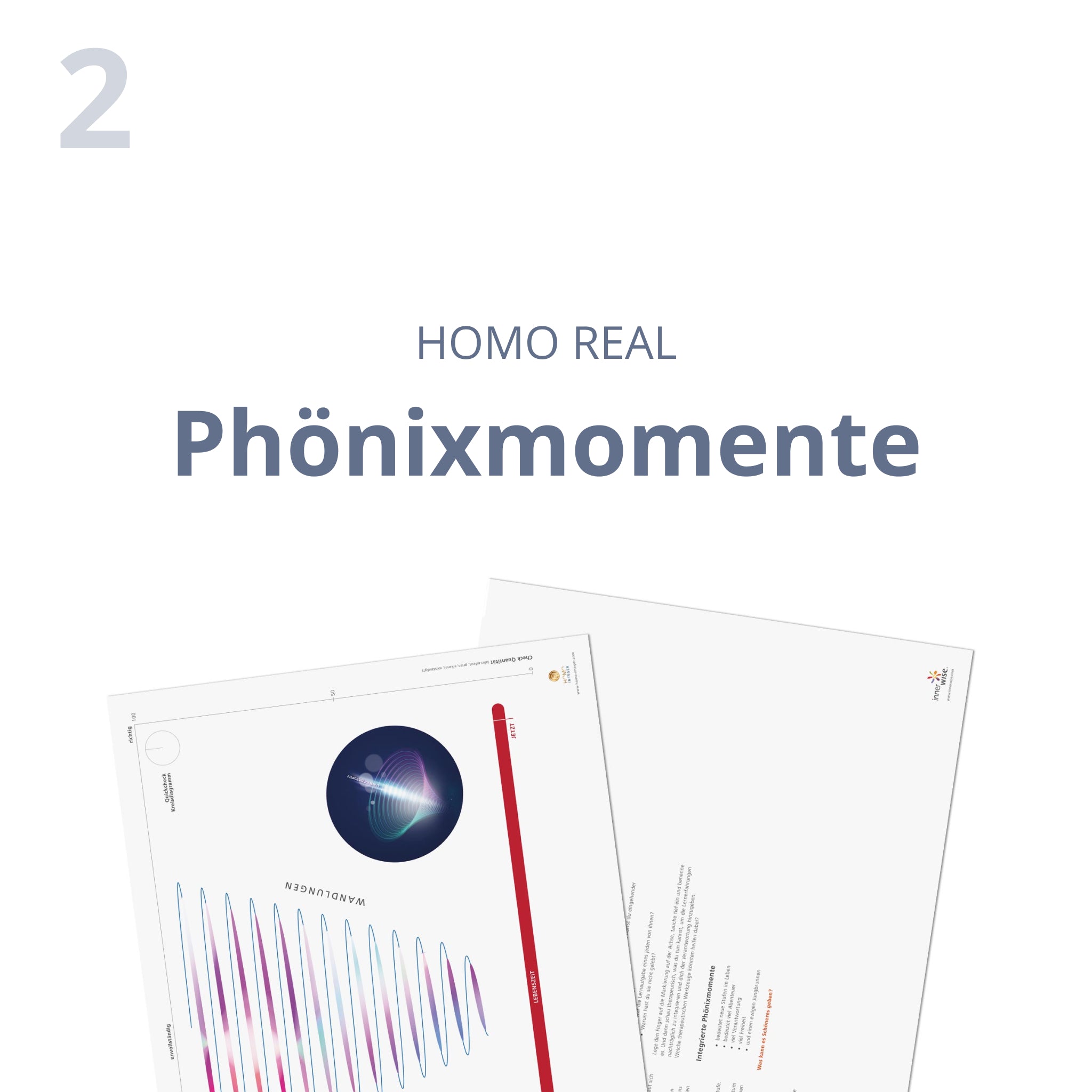 Phönixmomente