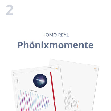 Phönixmomente