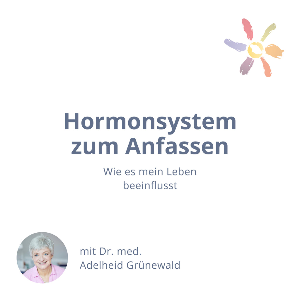 Hormonsystem zum Anfassen – wie es mein Leben beeinflusst
