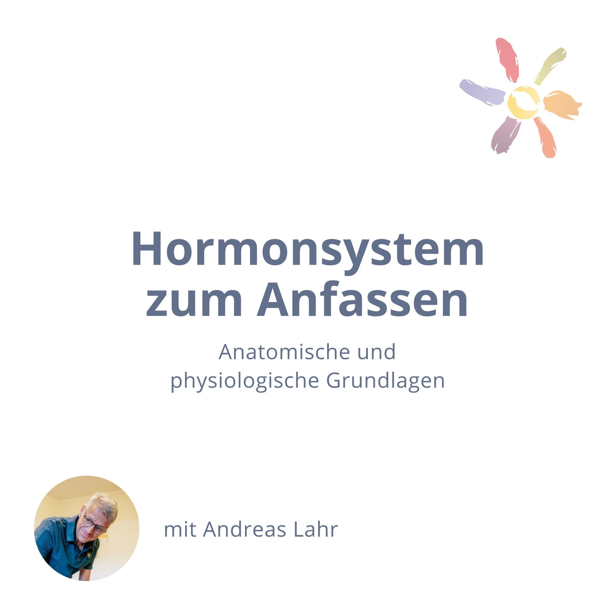 Hormonsystem zum Anfassen – anatomische und physiologische Grundlagen