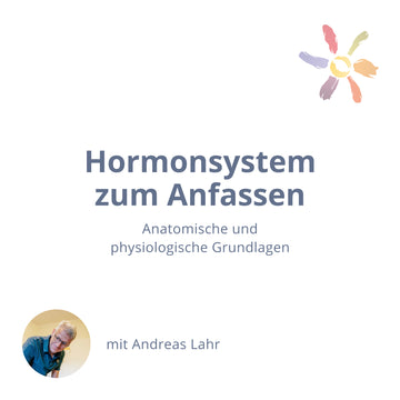Hormonsystem zum Anfassen – anatomische und physiologische Grundlagen