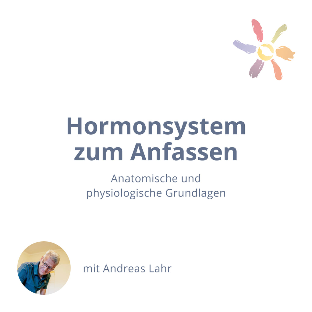 Hormonsystem zum Anfassen – anatomische und physiologische Grundlagen (Webinar)