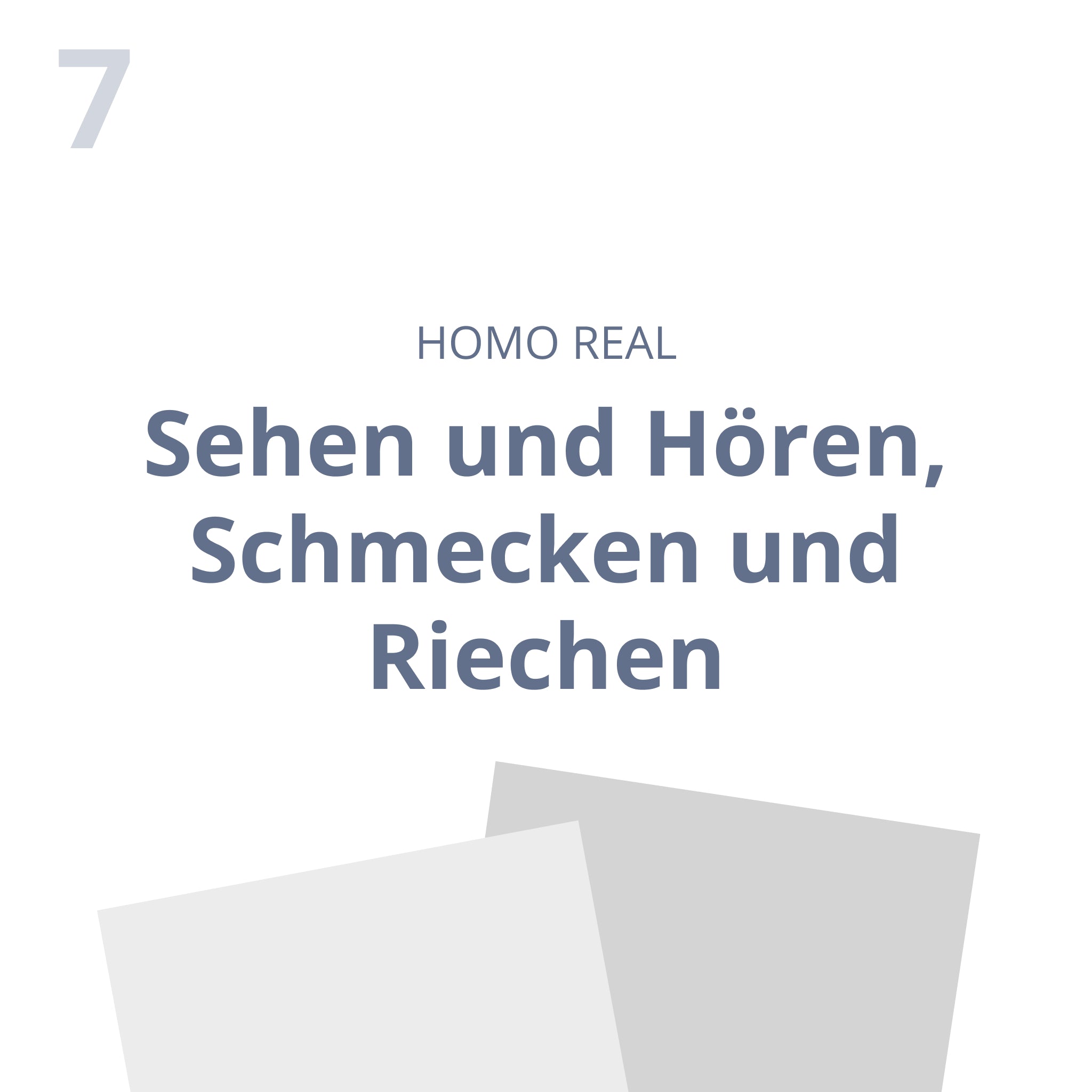 Sehen und Hören, Schmecken und Riechen