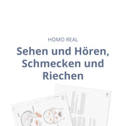 Sehen und Hören, Schmecken und Riechen