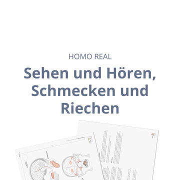Sehen und Hören, Schmecken und Riechen