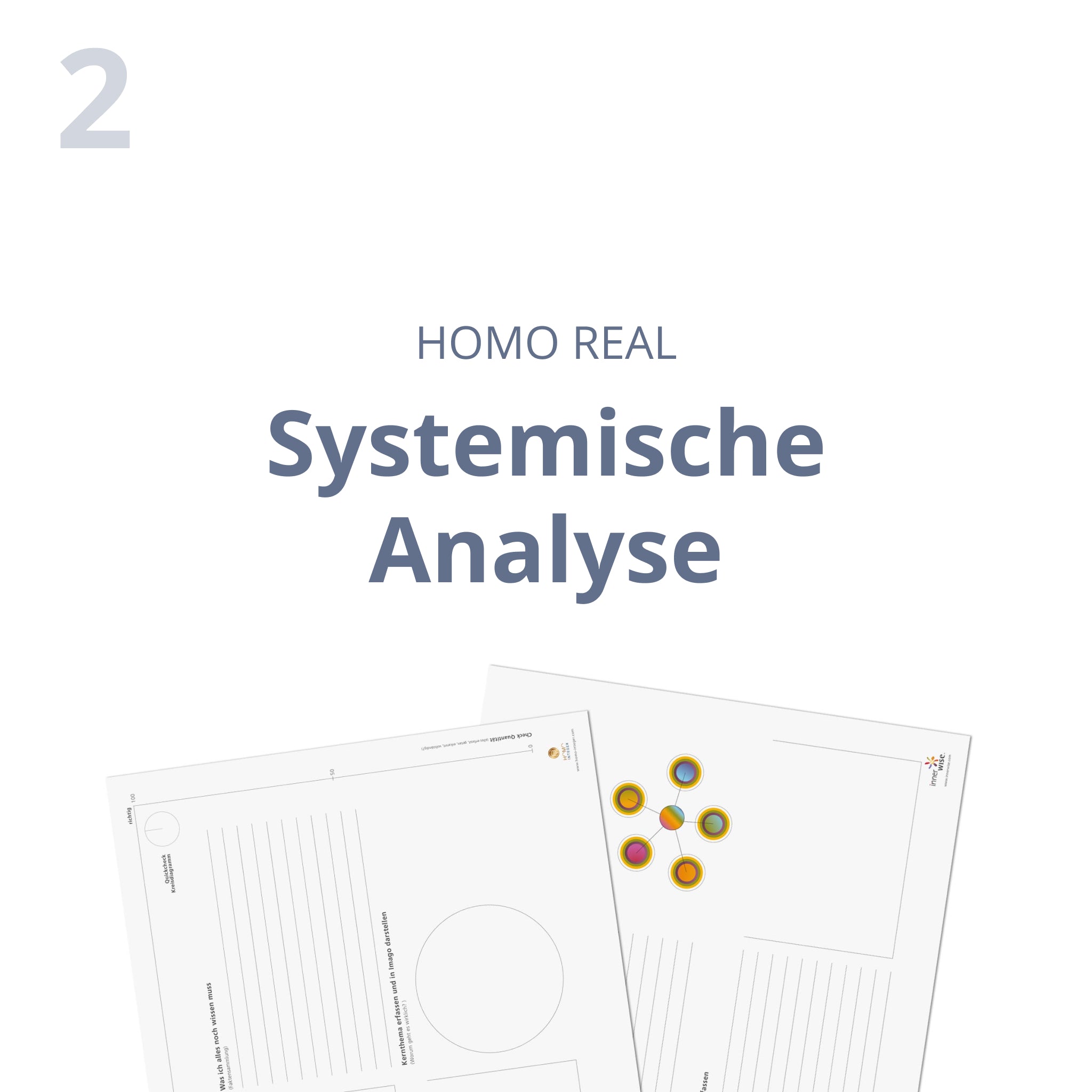 Systemische Analyse