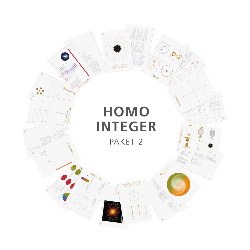 Homo Integer - Arbeitsblöcke (Paket 2)