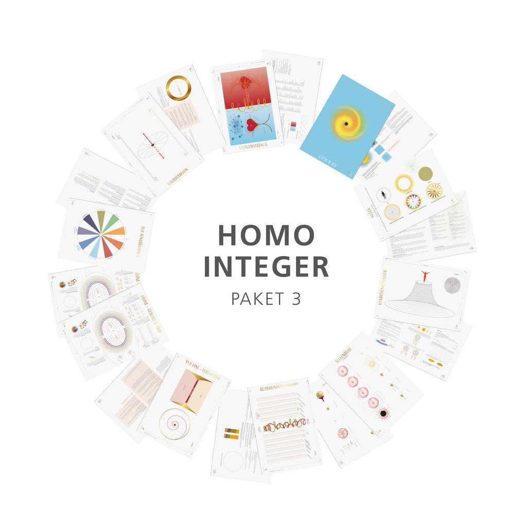 Homo Integer - Arbeitsblöcke (Paket 3)