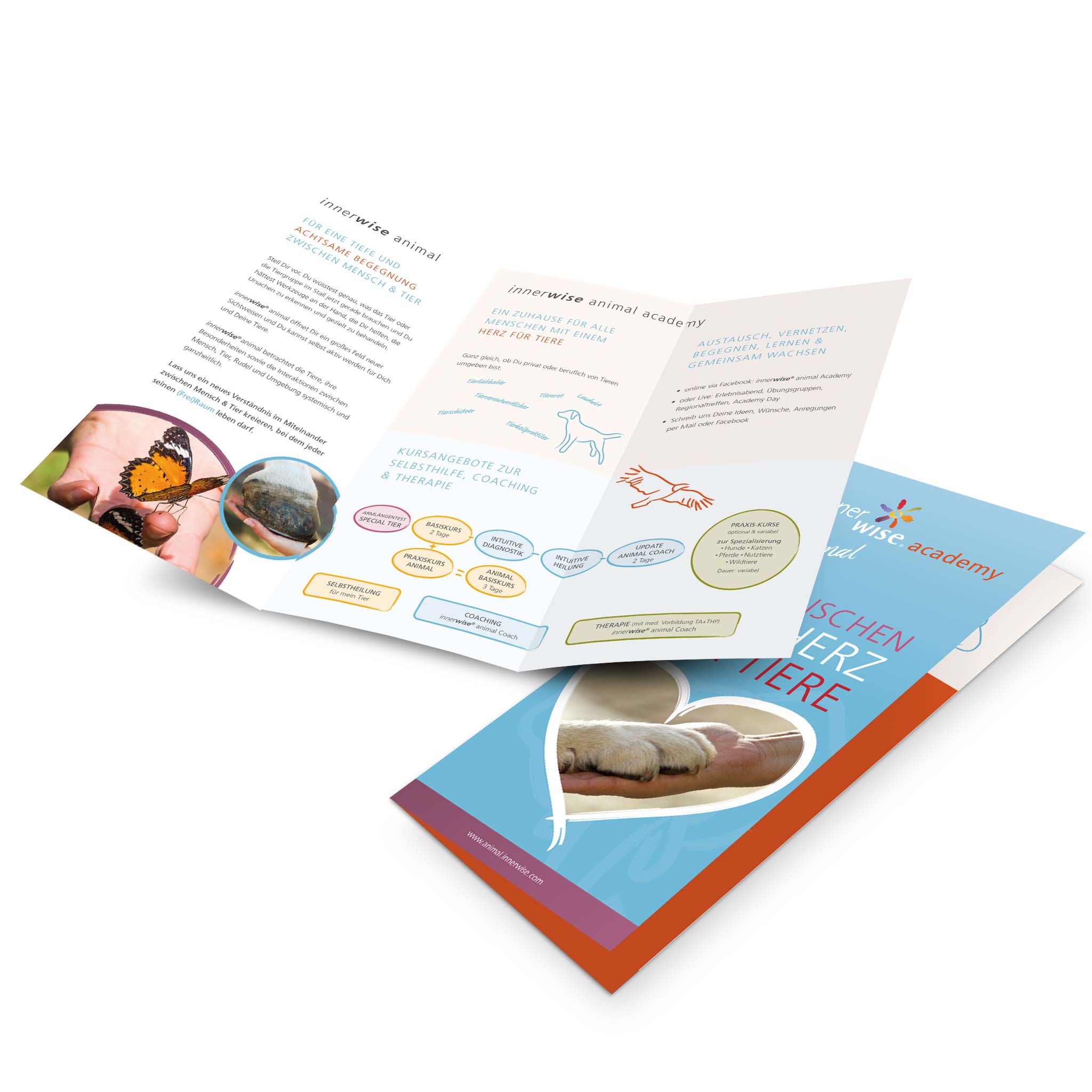 innerwise animal Flyer