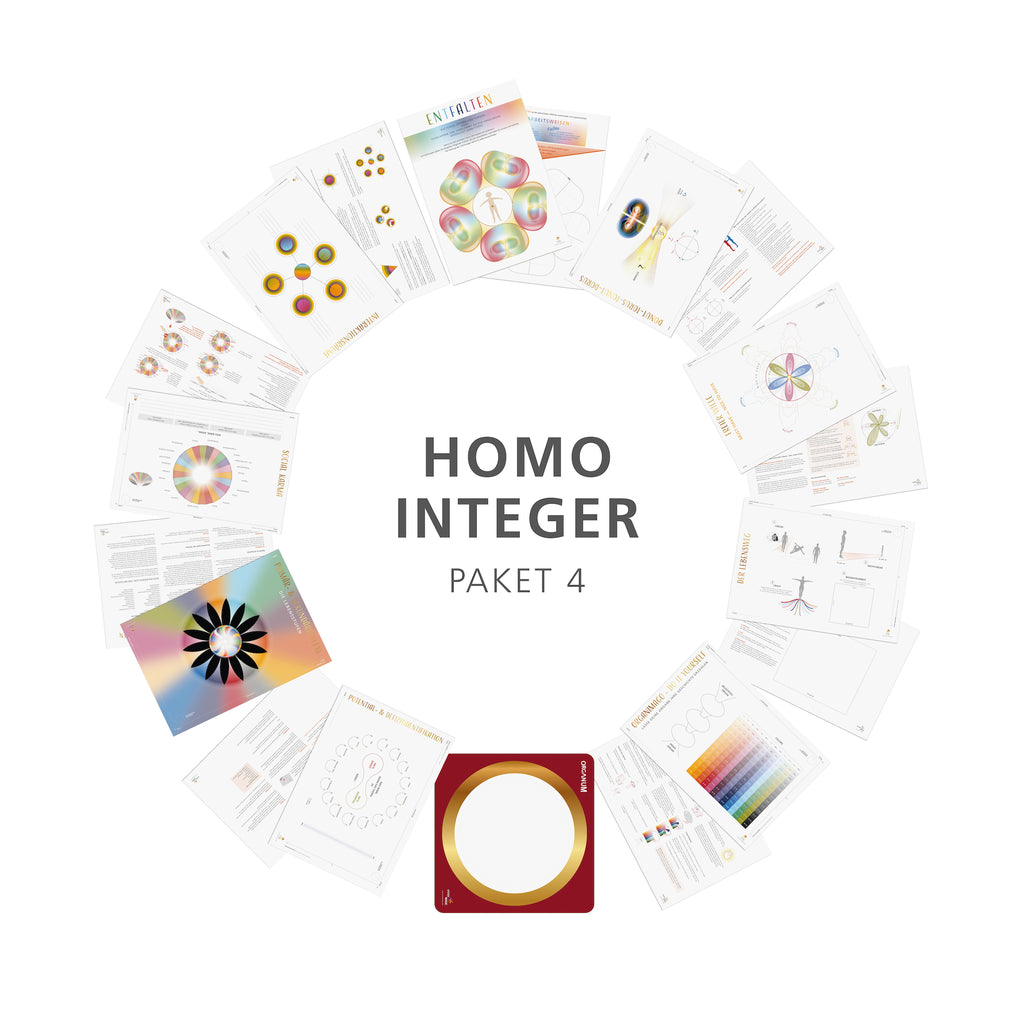 Homo Integer - Arbeitsblöcke (Paket 4)