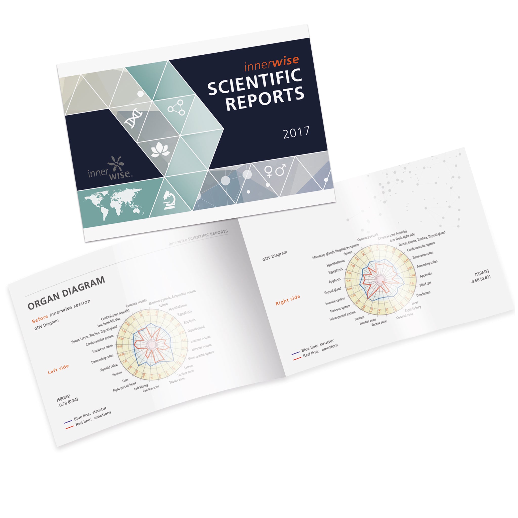 Scientific Report – innerwise Shop