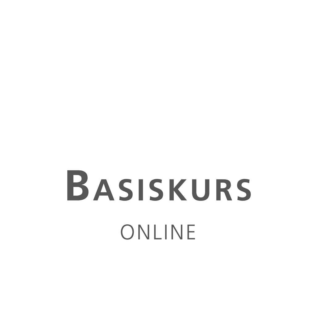 Basiskurs online