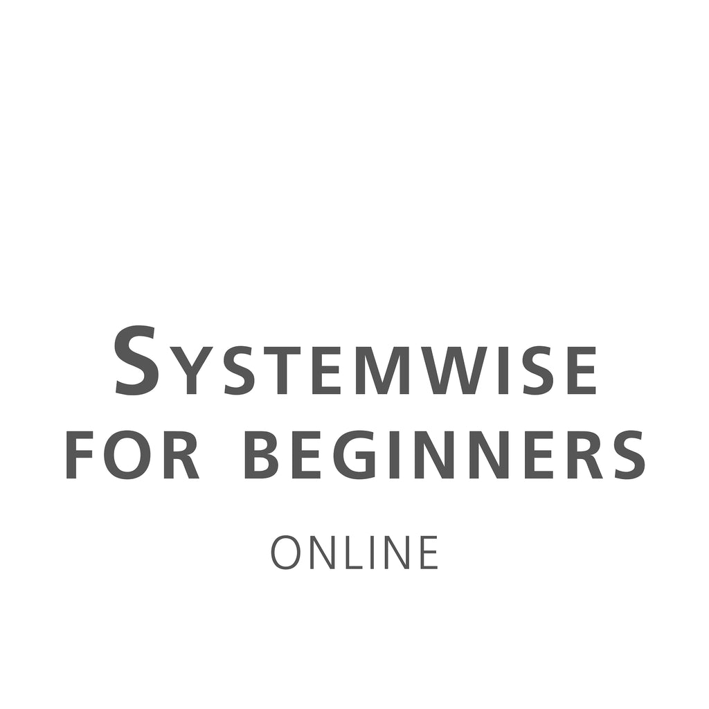 systemwise for beginners