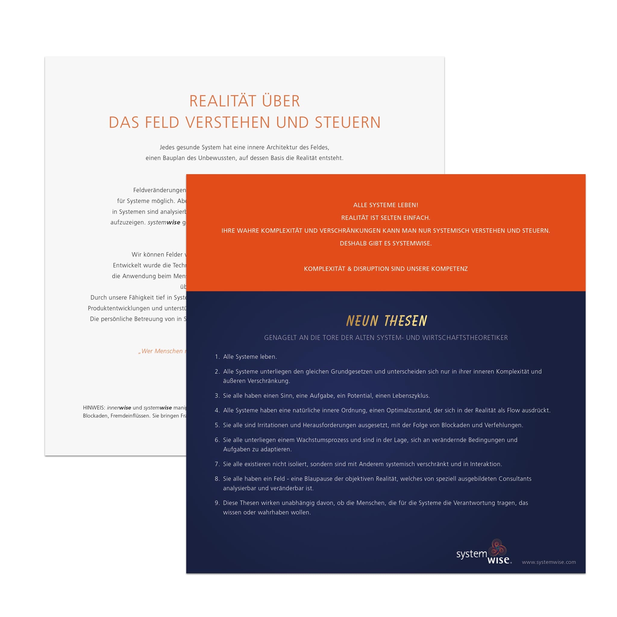 systemwise Flyer